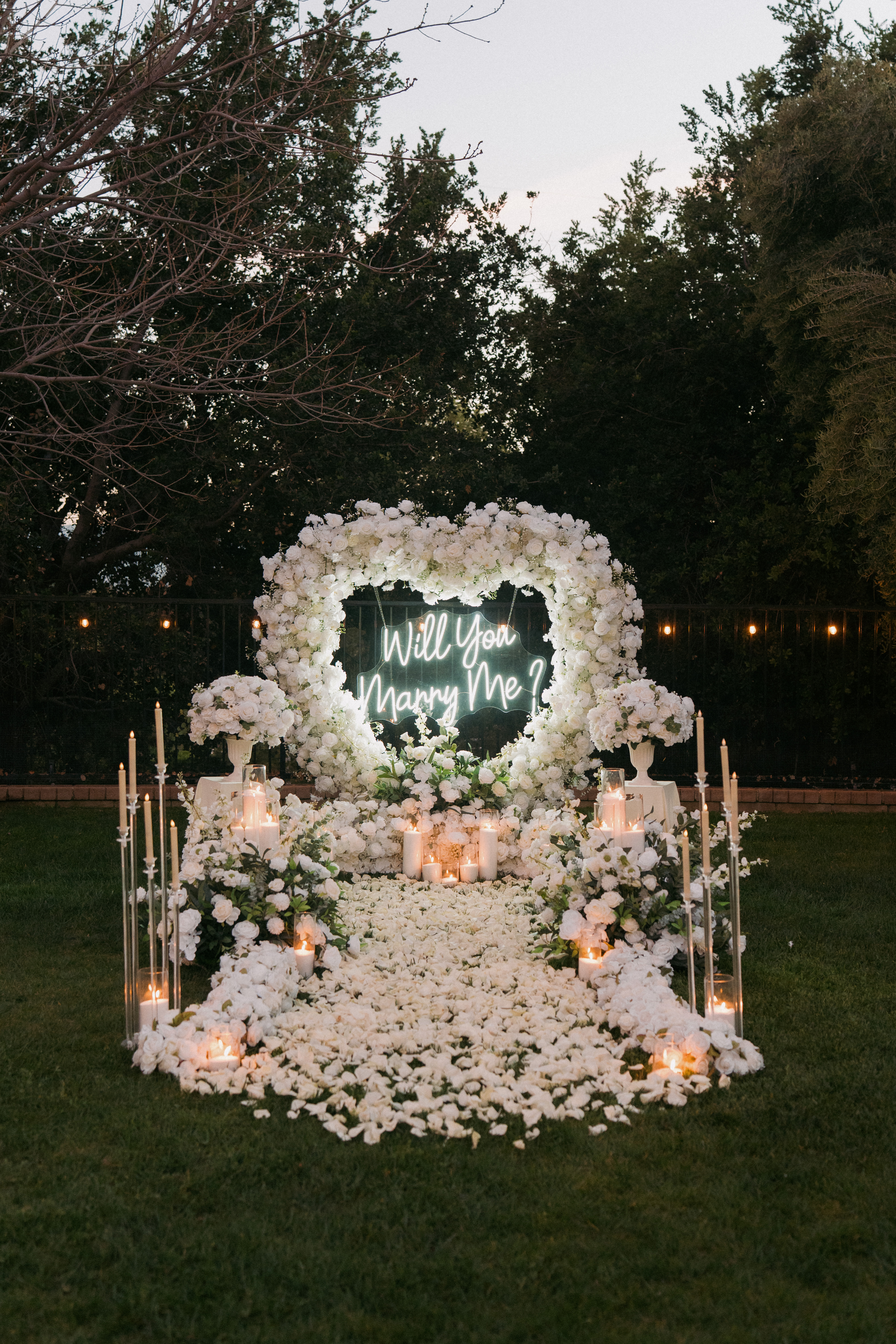 The Amore Enchanted
